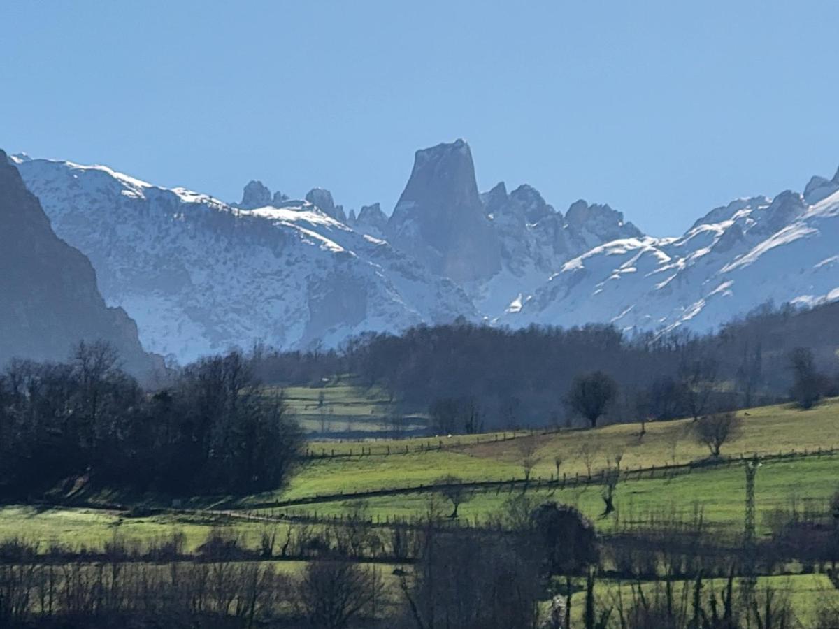 Ribeles Luxury Flat Lejlighed Arenas De Cabrales Eksteriør billede