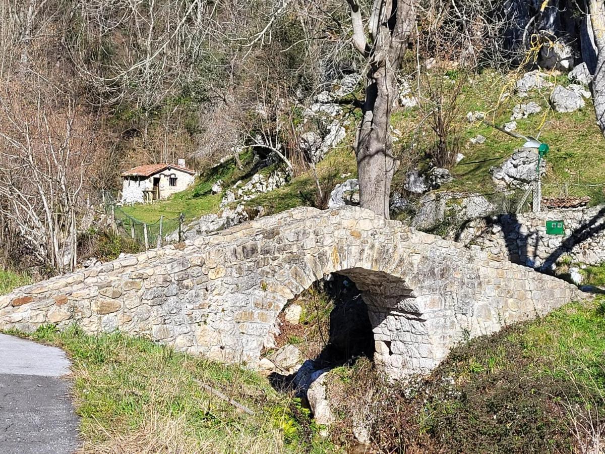 Ribeles Luxury Flat Lejlighed Arenas De Cabrales Eksteriør billede