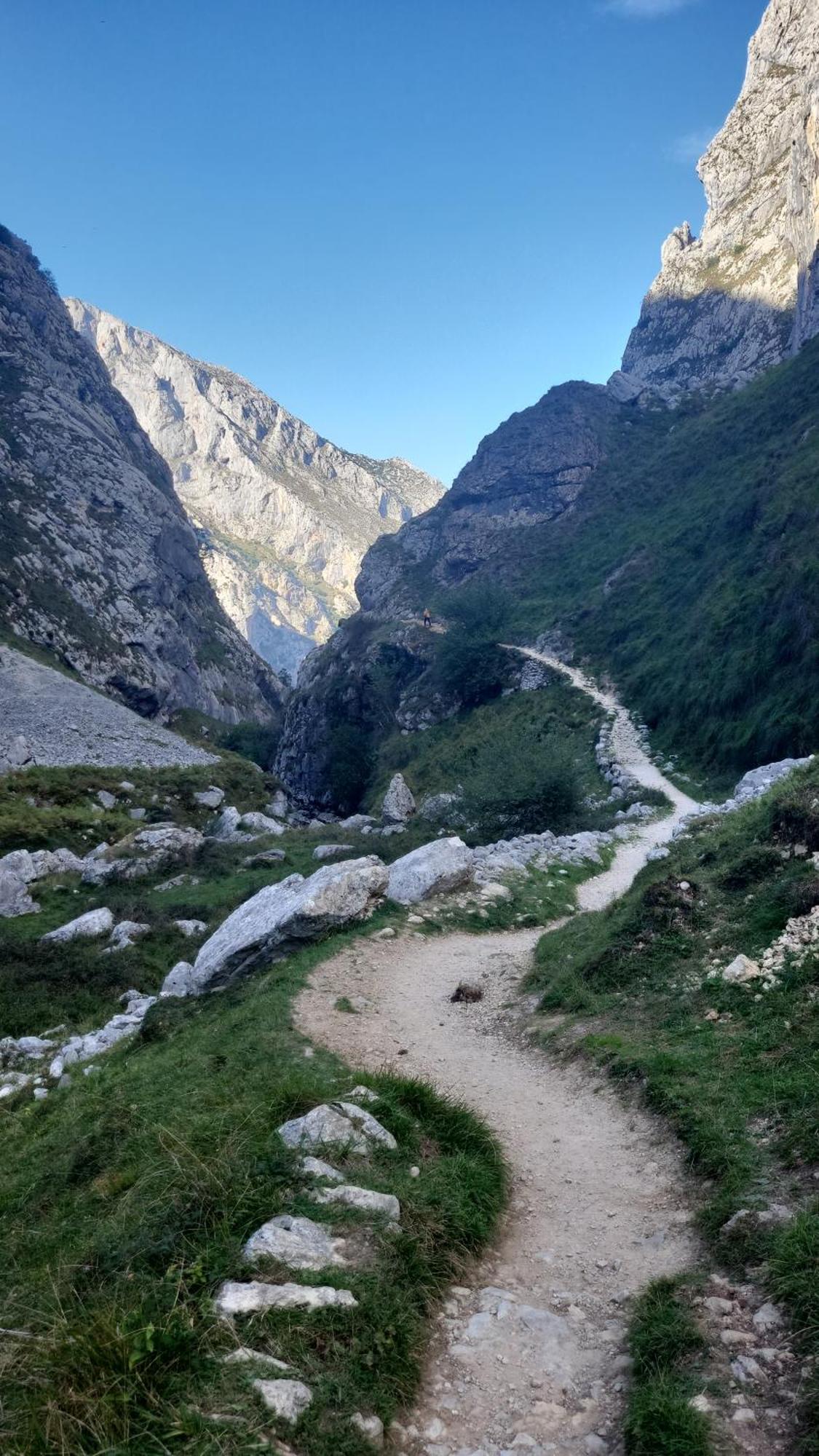 Ribeles Luxury Flat Lejlighed Arenas De Cabrales Eksteriør billede